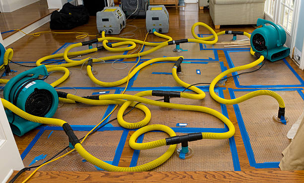 Professional Water Damage Repair technician working in Leonard, MI